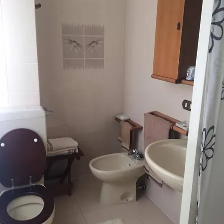 Отель Trota